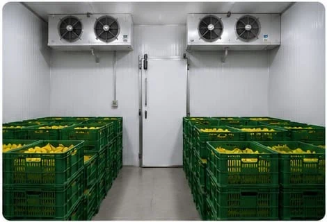Banana Ripening Chambers